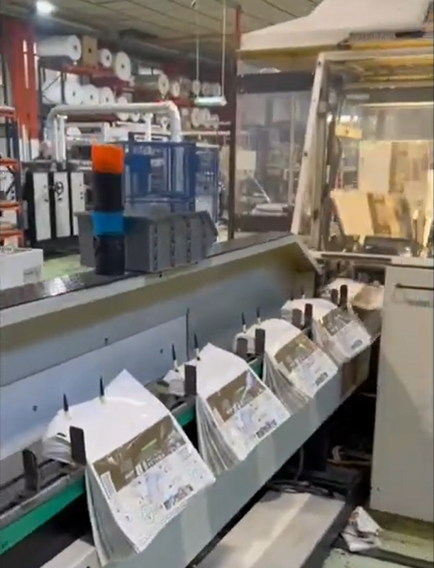 LEMO 600 STN WICKET BREAD BAG MAKING MACHINE